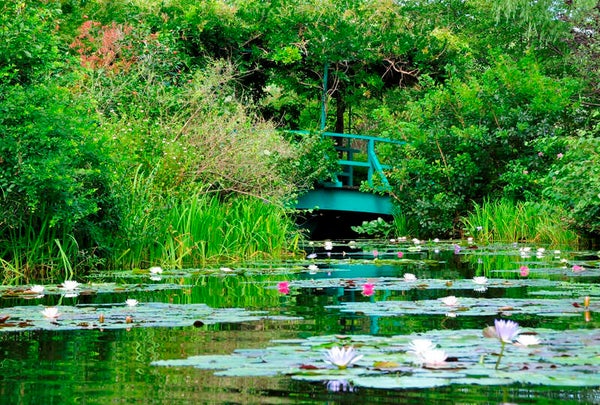 【広島・古市発】 メルキュール高知土佐リゾート&スパに泊まる!行くぜよ高知 2日間1